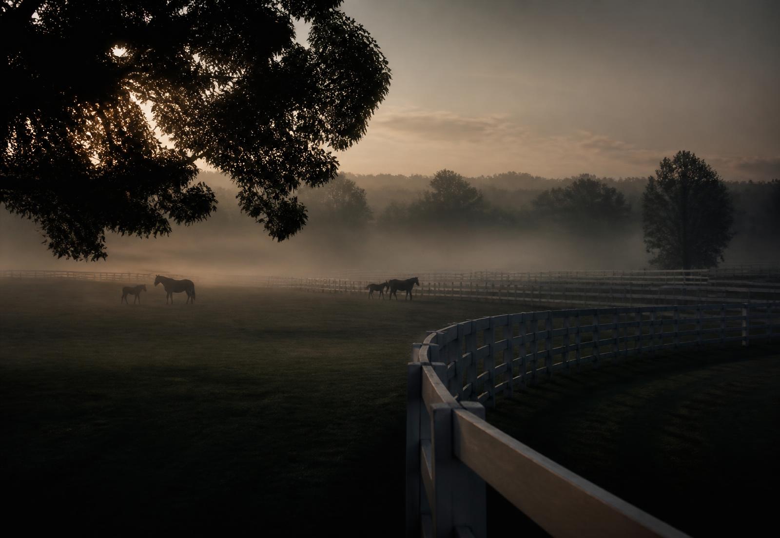 Gestüt im Morgenlicht mit Koppeln und Nebel